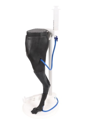 Simulatore di venipuntura e IM “Vicky”. - Erler...