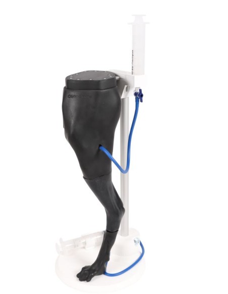 Simulateur de ponction veineuse et d'IM 'Vicky - Erler Zimmer VET4680