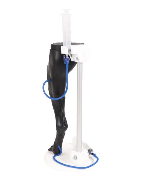 Venipuncture and IM simulator "Vicky". - Erler Zimmer VET4680