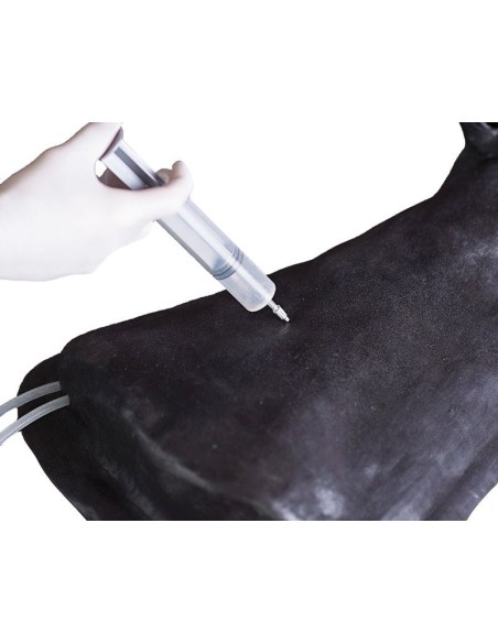 Erler Zimmer Horse Head Simulator SRE0651