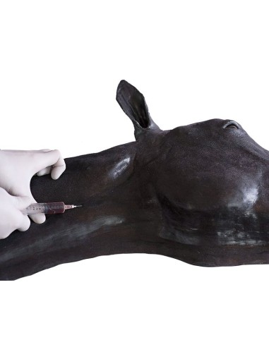 Erler Zimmer Pferdekopf-Simulator SRE0651