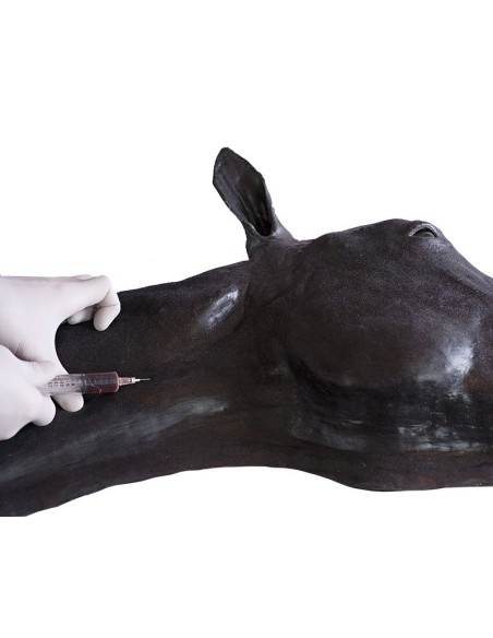 Erler Zimmer Horse Head Simulator SRE0651
