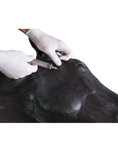 Erler Zimmer Horse Head Simulator SRE0651