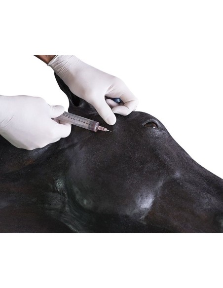 Erler Zimmer Horse Head Simulator SRE0651