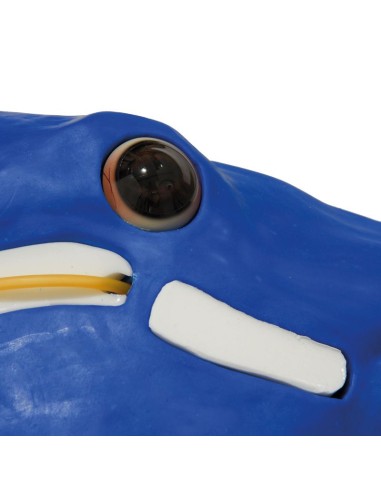 Erler Zimmer Pferdekopf-Simulator SRE0651