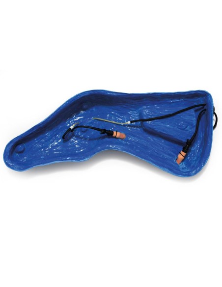 Simulador de cabeza de caballo Erler Zimmer SRE0651