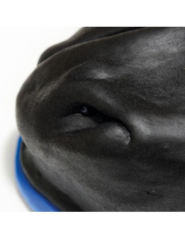 Erler Zimmer Pferdekopf-Simulator SRE0651