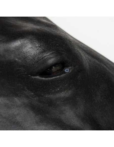 Erler Zimmer Horse Head Simulator SRE0651