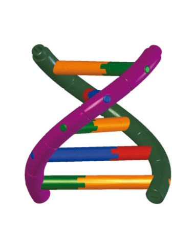 Modèle de double hélice d'ADN, kit d'assemblage...