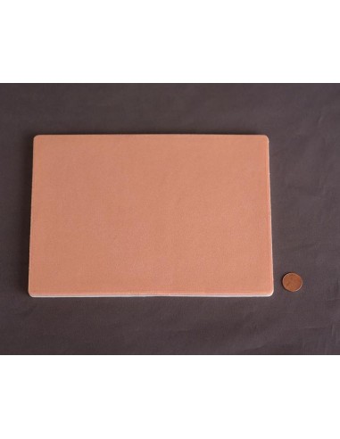 Coussin de suture RealLayer 3 couches sans vaisseaux, peau claire (grande taille) Erler Zimmer SRE0350L