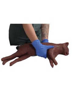 Cat simulator for CPR training CaPPeR Erler Zimmer VET4880
