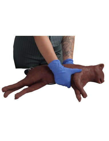 Simulateur de chat pour la formation à la RCP CaPPeR Erler Zimmer VET4880