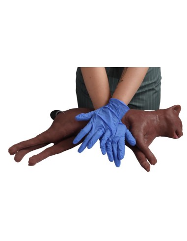 Cat simulator for CPR training CaPPeR Erler...