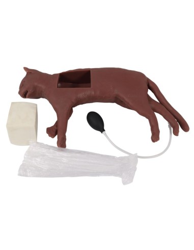 Cat simulator for CPR training CaPPeR Erler...