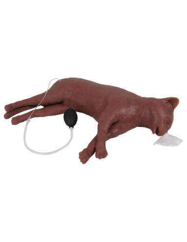 Simulador de gato para formación en RCP CaPPeR...