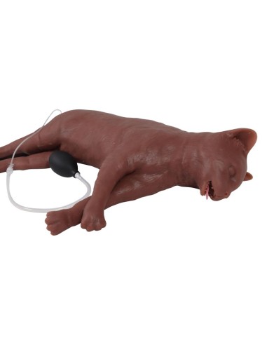 Simulador de gato para formación en RCP CaPPeR...