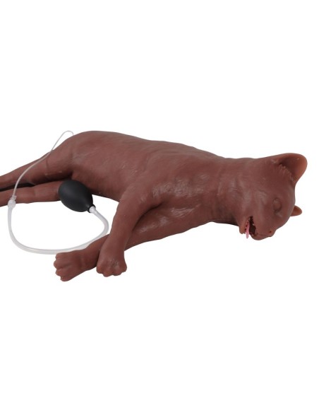 Cat simulator for CPR training CaPPeR Erler Zimmer VET4880