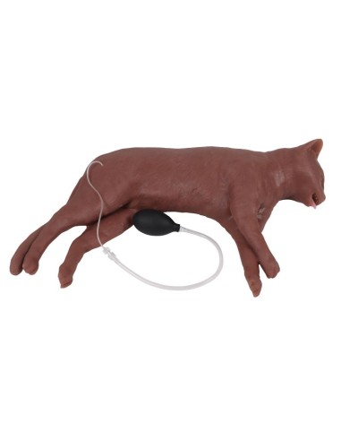 Cat simulator for CPR training CaPPeR Erler...