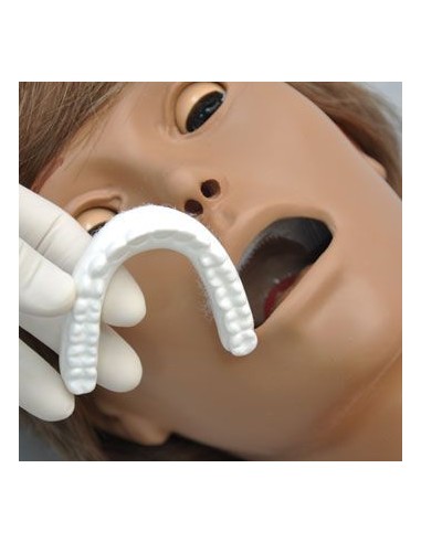 Patient Simulator for Nursing, Female- EZ R17610