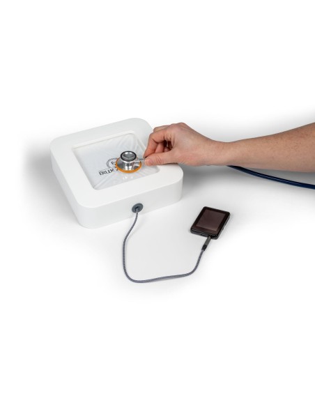 Erler Zimmer PAC Physiological Auscultation Trainer