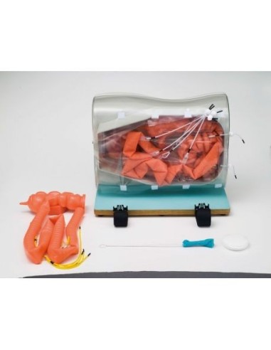 Medical Training Model - Colonoscopy and...