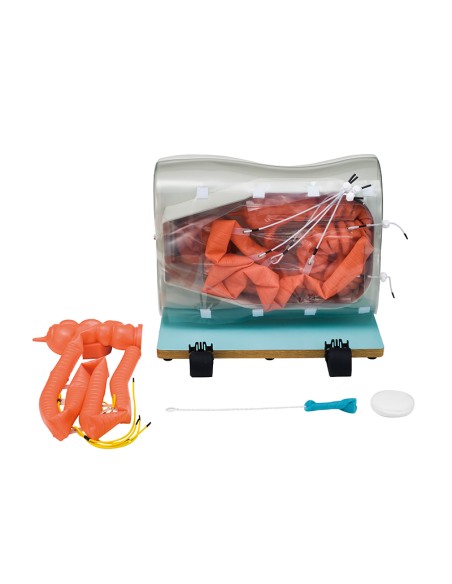 Estensione opzionale intestino tenue per LM107 - Erler Zimmer LM107B