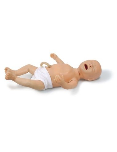 Anne Neonatal Manikin, Erler Zimmer R20320...