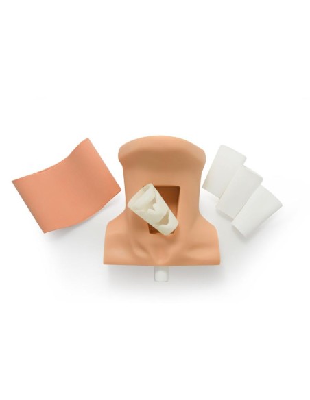 Simulador para cricotirotomía SurgiReal Erler Zimmer SRE0720