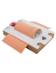 Erler Zimer R67110 Cricothyrotomy and Tracheostomy Trainer