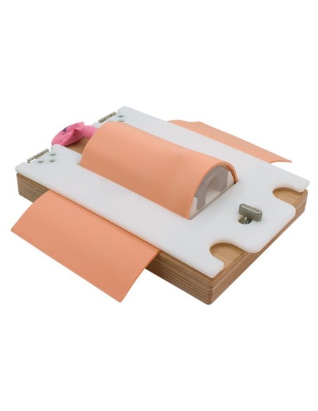 Simulador para cricotirotomía y traqueotomía Erler Zimer R67110