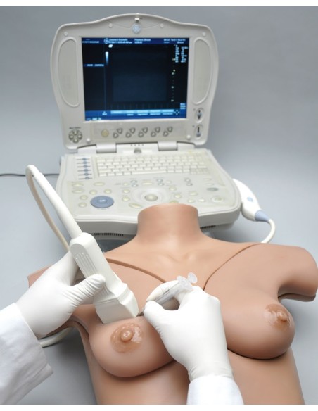 L58 Breast Ultrasound Simulator