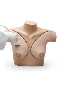 Simulateur d'échographie mammaire L58 2