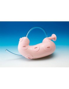 Modèle d'entraînement à la dissection endoscopique de la...