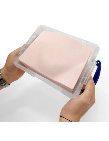 SonoEZ SEZ-BL Bladder Ultrasound Trainer