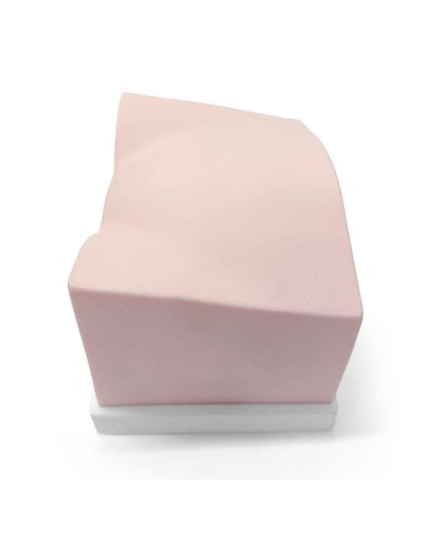 SonoEZ SEZ-BL Bladder Ultrasound Trainer