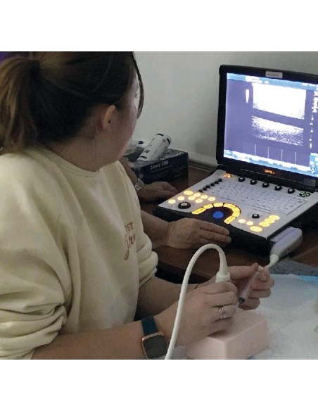 SonoEZ SEZ-IN Guided Ultrasonic Injection Simulator