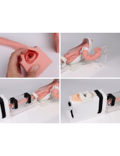 Modelo de simulador médico para EGD...