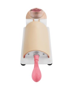 Erler Zimmer R67130 Trainer for Cricothyrotomy and...