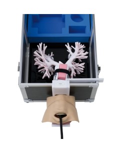 Simulador de broncoscopia por ultrasonidos LM99