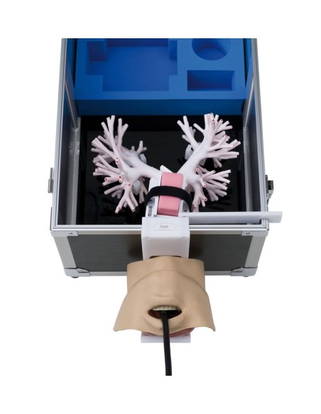 Simulateur de bronchoscopie à ultrasons LM99