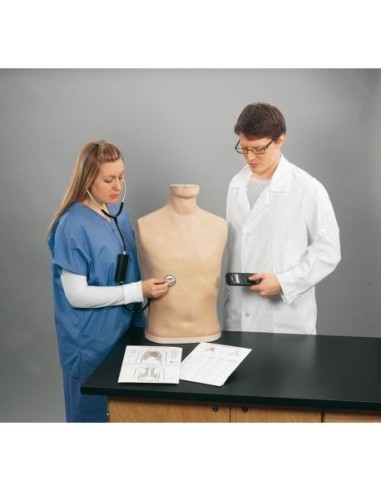 Simulatore di Auscultazione Erler Zimmer R10001