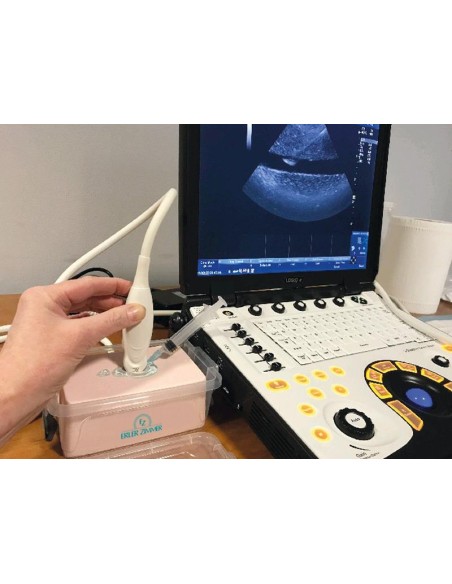 Ultraschallgesteuerter Simulator für Blutgefäße SonoEZ SEZ-VE