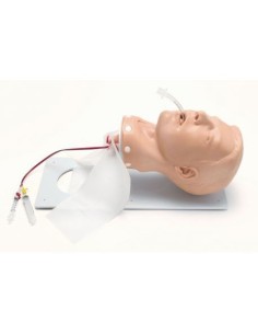 Intubation Training Manikin, Deluxe Version - Erler...