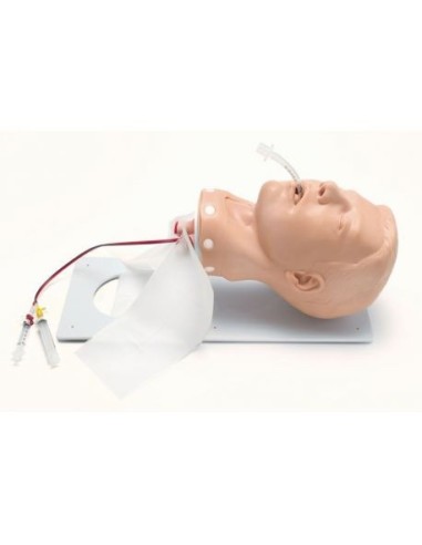 Intubation Training Manikin, Deluxe Version -...