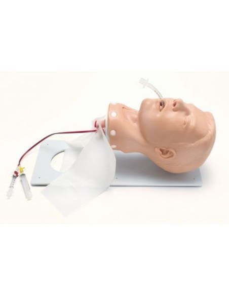 Intubation Training Manikin, Deluxe Version - Erler Zimmer R10118