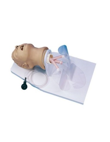 Erler Zimmer R10014 Adult Manikin for Adult...