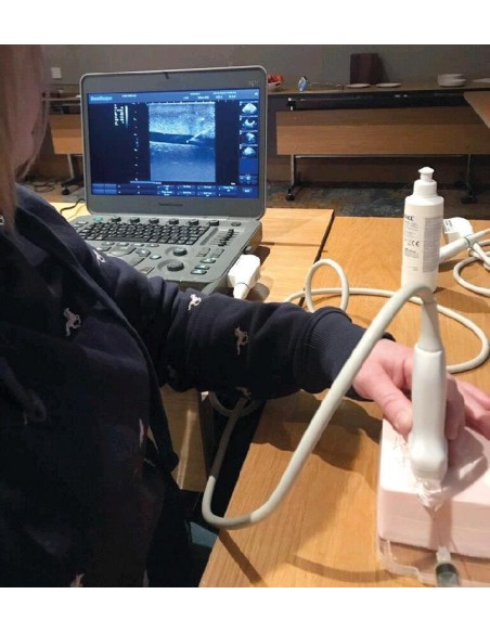 Simulatore guidato ad ultrasuoni per nervo SonoEZ SEZ-NE