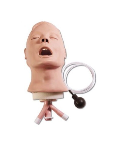 Larry, airway management module for the Erler...