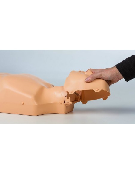 Mannequin de RCP adulte / pédiatrique Practi-Man Basic