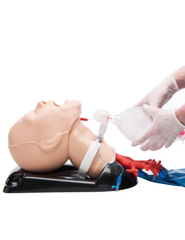 AirSim Combo bronchi X